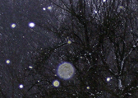 2010-01-bgca-Schneefall mit Orb-Effekt